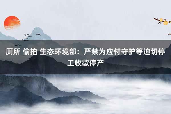 厕所 偷拍 生态环境部：严禁为应付守护等迫切停工收歇停产