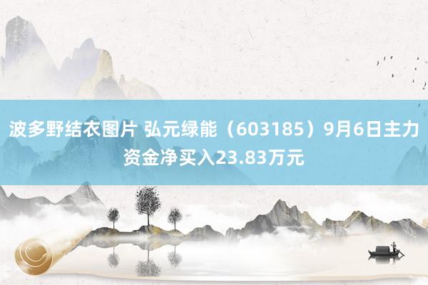 波多野结衣图片 弘元绿能（603185）9月6日主力资金净买入23.83万元