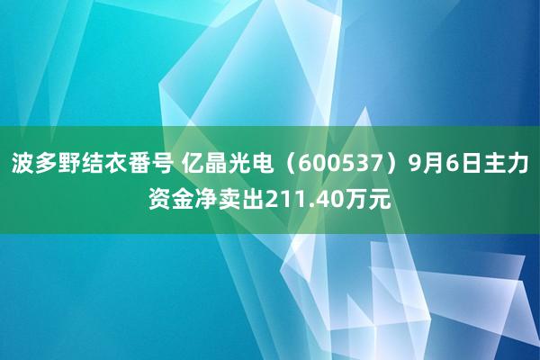 波多野结衣番号 亿晶光电（600537）9月6日主力资金净卖出211.40万元