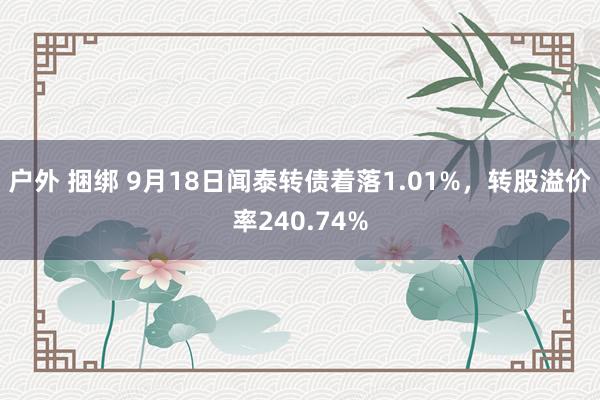 户外 捆绑 9月18日闻泰转债着落1.01%，转股溢价率240.74%