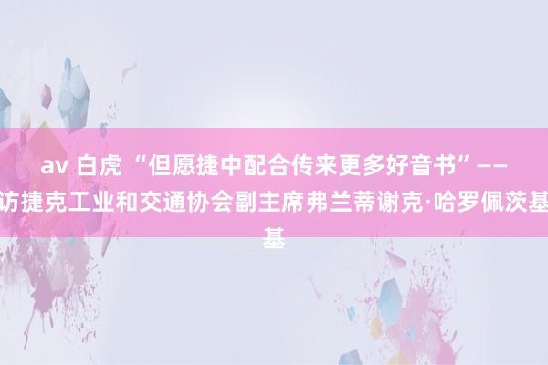 av 白虎 “但愿捷中配合传来更多好音书”——访捷克工业和交通协会副主席弗兰蒂谢克·哈罗佩茨基