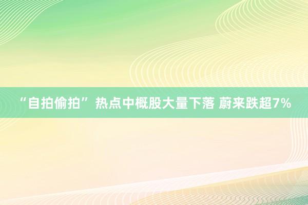 “自拍偷拍” 热点中概股大量下落 蔚来跌超7%