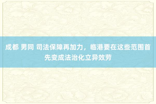 成都 男同 司法保障再加力，临港要在这些范围首先变成法治化立异效劳