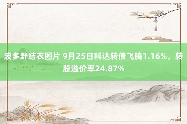 波多野结衣图片 9月25日科达转债飞腾1.16%，转股溢价率24.87%