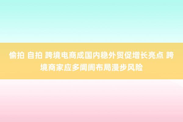 偷拍 自拍 跨境电商成国内稳外贸促增长亮点 跨境商家应多阛阓布局漫步风险