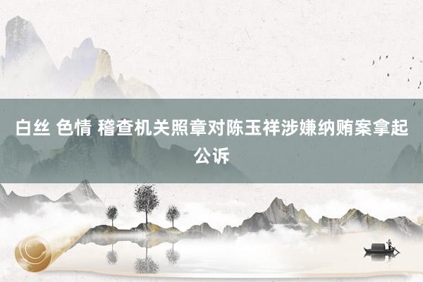 白丝 色情 稽查机关照章对陈玉祥涉嫌纳贿案拿起公诉