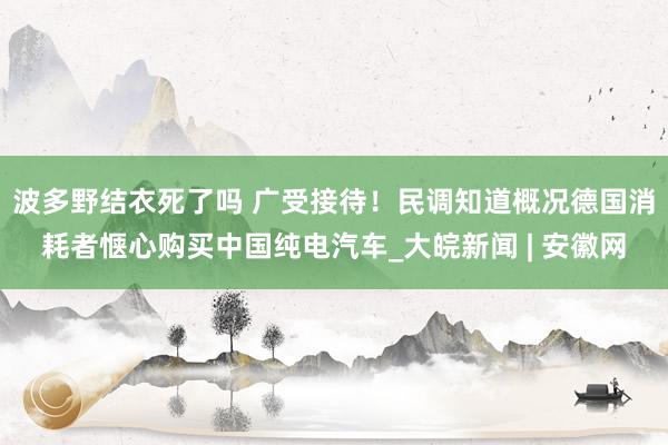 波多野结衣死了吗 广受接待！民调知道概况德国消耗者惬心购买中国纯电汽车_大皖新闻 | 安徽网