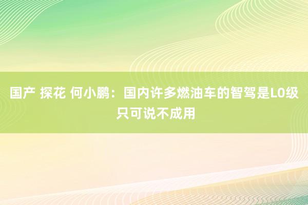 国产 探花 何小鹏：国内许多燃油车的智驾是L0级 只可说不成用