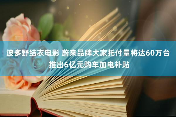 波多野结衣电影 蔚来品牌大家托付量将达60万台 推出6亿元购车加电补贴