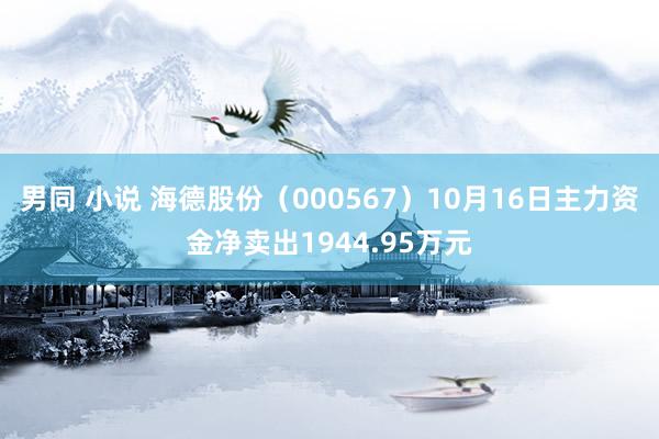 男同 小说 海德股份（000567）10月16日主力资金净卖出1944.95万元