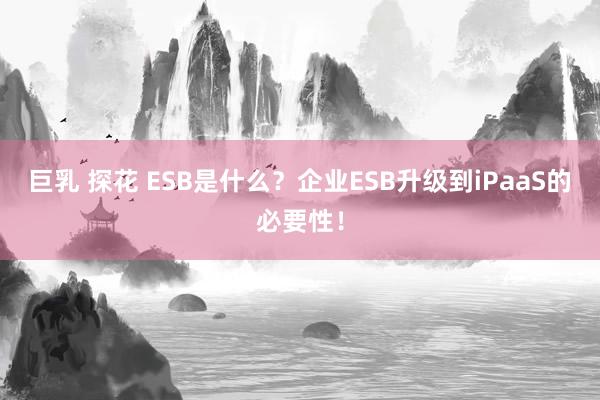 巨乳 探花 ESB是什么？企业ESB升级到iPaaS的必要性！