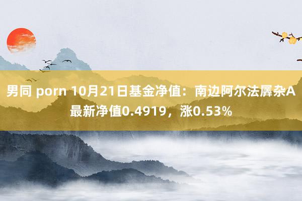 男同 porn 10月21日基金净值：南边阿尔法羼杂A最新净值0.4919，涨0.53%