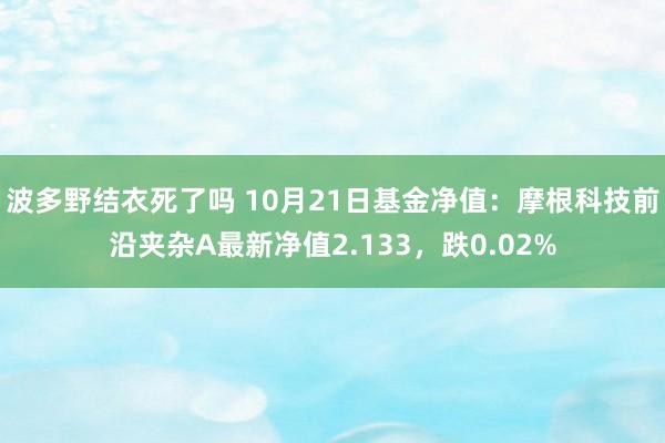 波多野结衣死了吗 10月21日基金净值：摩根科技前沿夹杂A最新净值2.133，跌0.02%