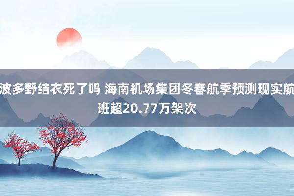 波多野结衣死了吗 海南机场集团冬春航季预测现实航班超20.77万架次