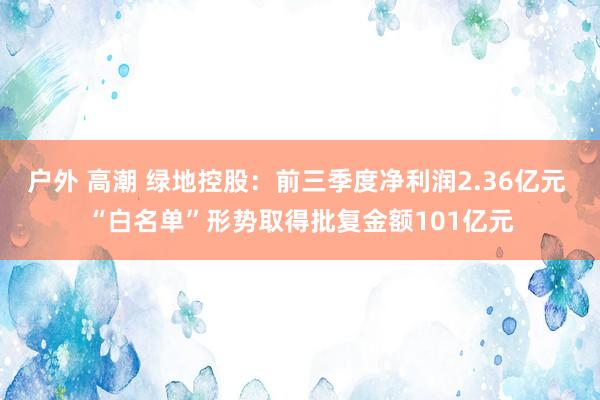 户外 高潮 绿地控股：前三季度净利润2.36亿元 “白名单”形势取得批复金额101亿元