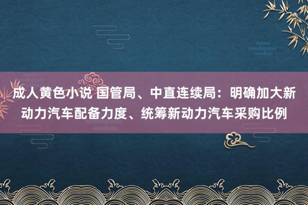 成人黄色小说 国管局、中直连续局：明确加大新动力汽车配备力度、统筹新动力汽车采购比例