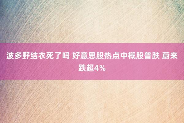 波多野结衣死了吗 好意思股热点中概股普跌 蔚来跌超4%