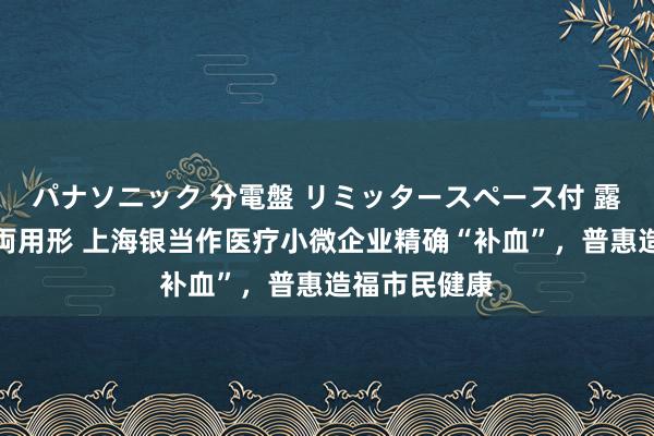 パナソニック 分電盤 リミッタースペース付 露出・半埋込両用形 上海银当作医疗小微企业精确“补血”，普惠造福市民健康