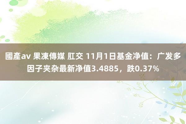 國產av 果凍傳媒 肛交 11月1日基金净值：广发多因子夹杂最新净值3.4885，跌0.37%