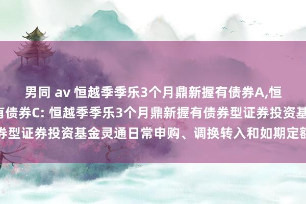 男同 av 恒越季季乐3个月鼎新握有债券A，恒越季季乐3个月鼎新握有债券C: 恒越季季乐3个月鼎新握有债券型证券投资基金灵通日常申购、调换转入和如期定额投资业务公告