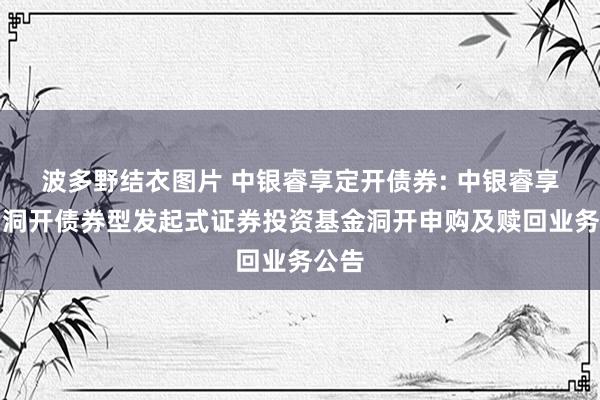 波多野结衣图片 中银睿享定开债券: 中银睿享依期洞开债券型发起式证券投资基金洞开申购及赎回业务公告