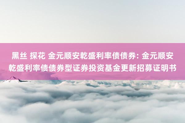 黑丝 探花 金元顺安乾盛利率债债券: 金元顺安乾盛利率债债券型证券投资基金更新招募证明书