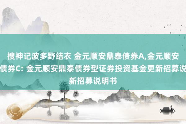 搜神记波多野结衣 金元顺安鼎泰债券A，金元顺安鼎泰债券C: 金元顺安鼎泰债券型证券投资基金更新招募说明书