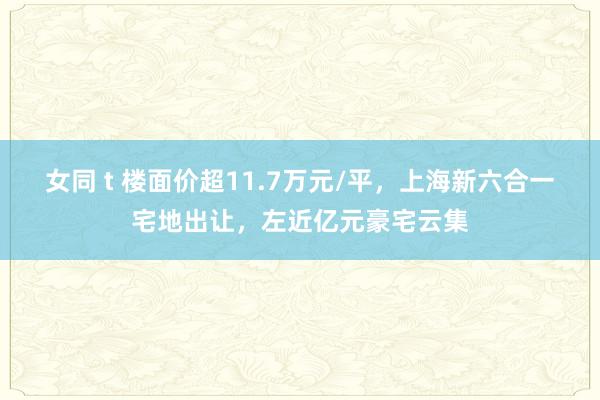 女同 t 楼面价超11.7万元/平，上海新六合一宅地出让，左近亿元豪宅云集