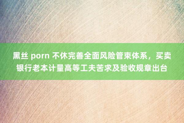 黑丝 porn 不休完善全面风险管束体系，买卖银行老本计量高等工夫苦求及验收规章出台