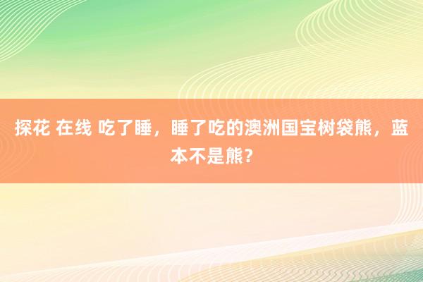 探花 在线 吃了睡，睡了吃的澳洲国宝树袋熊，蓝本不是熊？