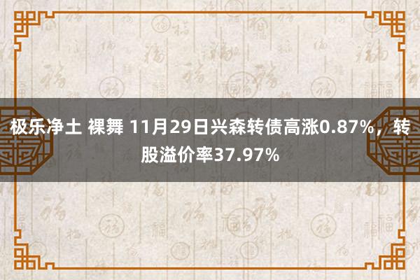 极乐净土 裸舞 11月29日兴森转债高涨0.87%，转股溢价率37.97%