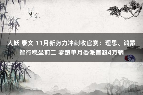 人妖 泰文 11月新势力冲刺收官赛：理思、鸿蒙智行稳坐前二 零跑单月委派首超4万辆