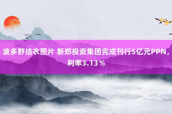 波多野结衣图片 新郑投资集团完成刊行5亿元PPN，利率3.13％