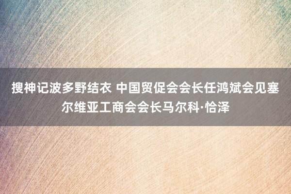 搜神记波多野结衣 中国贸促会会长任鸿斌会见塞尔维亚工商会会长马尔科·恰泽