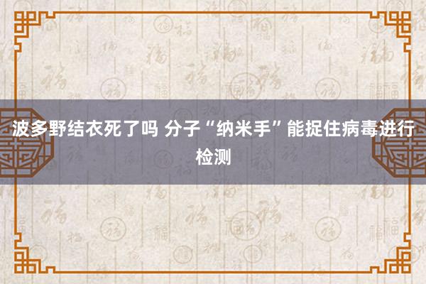 波多野结衣死了吗 分子“纳米手”能捉住病毒进行检测