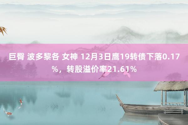 巨臀 波多黎各 女神 12月3日鹰19转债下落0.17%，转股溢价率21.61%