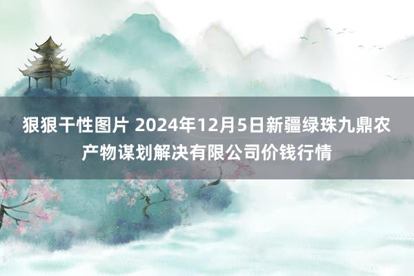 狠狠干性图片 2024年12月5日新疆绿珠九鼎农产物谋划解决有限公司价钱行情