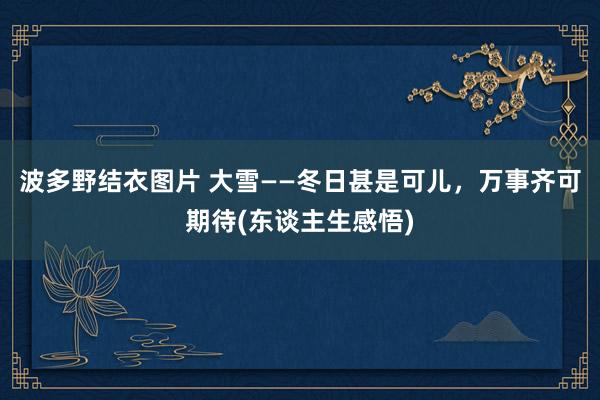 波多野结衣图片 大雪——冬日甚是可儿，万事齐可期待(东谈主生感悟)