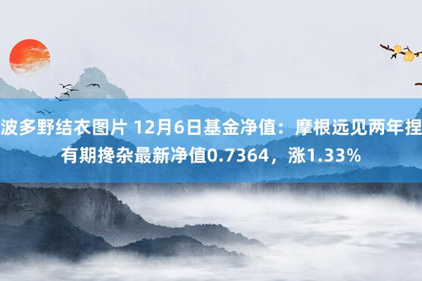 波多野结衣图片 12月6日基金净值：摩根远见两年捏有期搀杂最新净值0.7364，涨1.33%