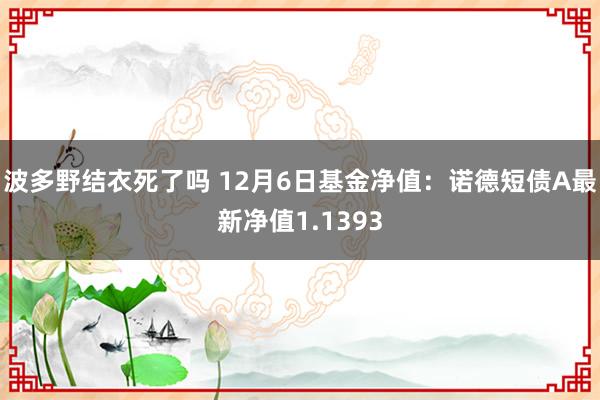 波多野结衣死了吗 12月6日基金净值：诺德短债A最新净值1.1393