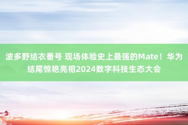 波多野结衣番号 现场体验史上最强的Mate！华为结尾惊艳亮相2024数字科技生态大会