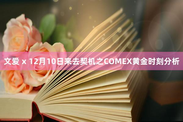 文爱 x 12月10日来去契机之COMEX黄金时刻分析