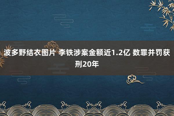 波多野结衣图片 李铁涉案金额近1.2亿 数罪并罚获刑20年