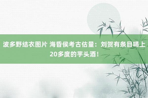 波多野结衣图片 海昏侯考古估量：刘贺有条目喝上20多度的芋头酒！