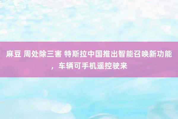 麻豆 周处除三害 特斯拉中国推出智能召唤新功能，车辆可手机遥控驶来