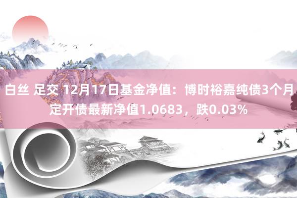 白丝 足交 12月17日基金净值：博时裕嘉纯债3个月定开债最新净值1.0683，跌0.03%