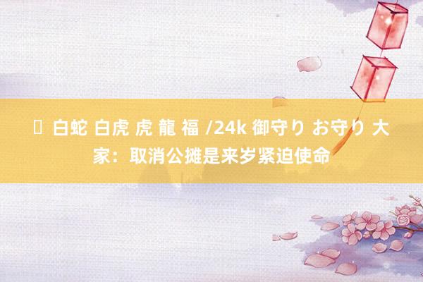 ✨白蛇 白虎 虎 龍 福 /24k 御守り お守り 大家：取消公摊是来岁紧迫使命