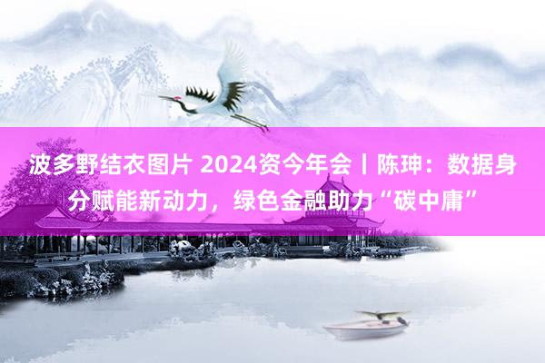 波多野结衣图片 2024资今年会丨陈珅：数据身分赋能新动力，绿色金融助力“碳中庸”