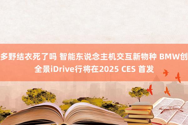 波多野结衣死了吗 智能东说念主机交互新物种 BMW创举全景iDrive行将在2025 CES 首发