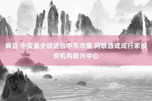 麻豆 中资基金欲进驻中东市集 阿联酋或成行家投资机构新兴中心